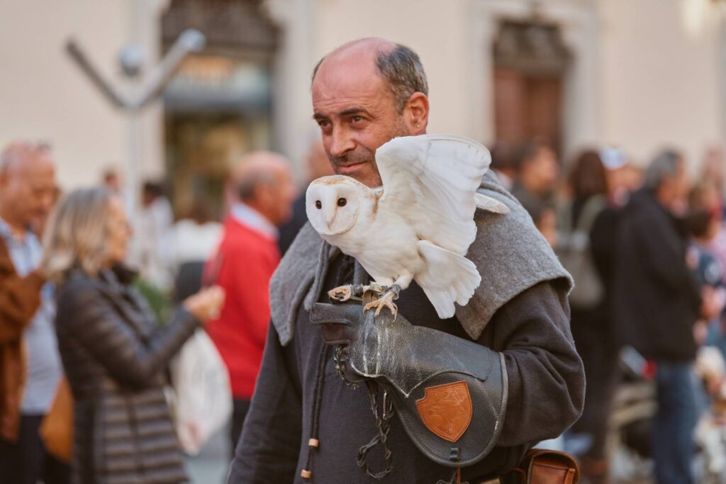sfortunato_2024_sofia_falconeria_1014